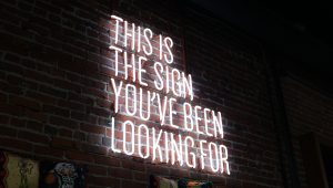 Web development - 8 point media - digital marketing agency in Dubai