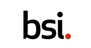 British Standards Institution logo - 8 point media client - digital marketing agency